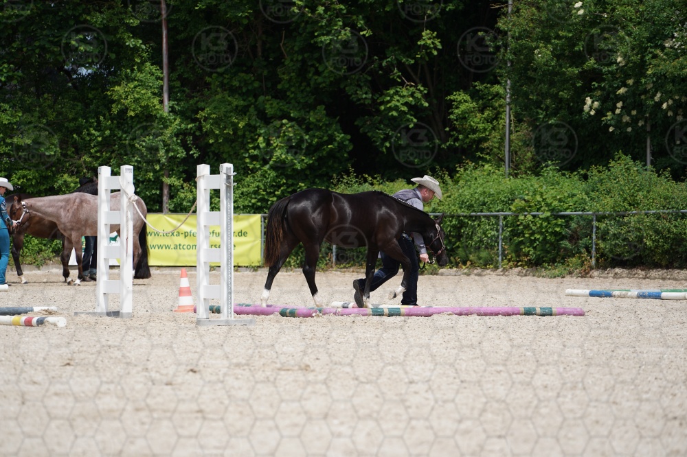 s_A9_06451.jpg